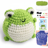 Frog Crochet DIY Kit | Beginner Amigurumi Kit