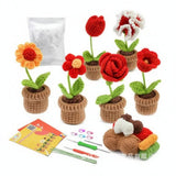 Crochet Potted Flower Kit – 6-Piece Mixed Bloom Set
