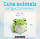 Frog Crochet Kit for Beginners - All-in-One Complete Crochet Set with Yarn, Hook, Pattern & Video Tutorial