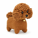 Poodle Amigurumi Crochet Kit – Curly-Coat Beginner DIY Plush